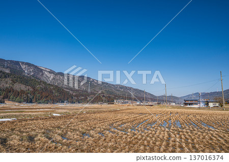 Rural scenery of Lake Biwa in early spring, Nagahara, Nagahama City, Shiga Prefecture 137016374