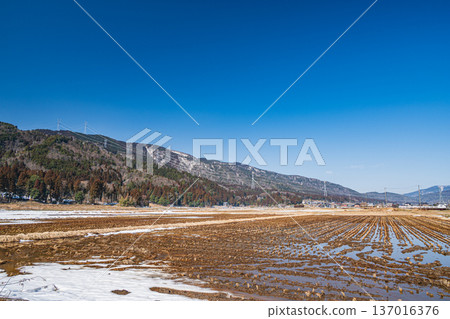 Rural scenery of Lake Biwa in early spring, Nagahara, Nagahama City, Shiga Prefecture 137016376