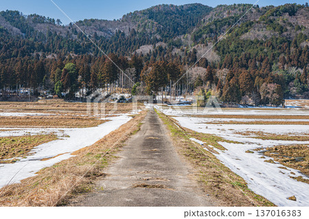 Rural scenery of Lake Biwa in early spring, Nagahara, Nagahama City, Shiga Prefecture Rural scenery of Lake Biwa in early spring, Nagahara, Nagahama City, Shiga Prefecture 137016383