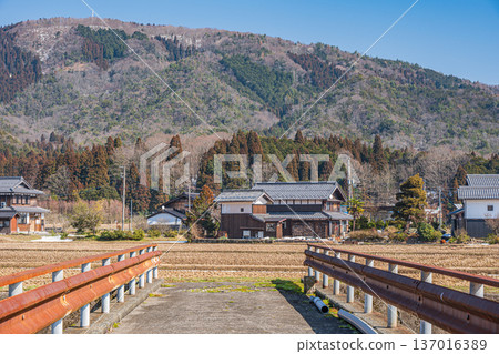 Rural scenery of Lake Biwa in early spring, Nagahara, Nagahama City, Shiga Prefecture 137016389