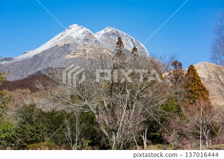 Yufuin in winter Snowfall and blue sky at Mt. Yufu Yufuin in winter Snowfall and blue sky at Mt. Yufu 137016444