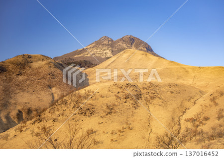 Yufudake and the withering meadow 137016452