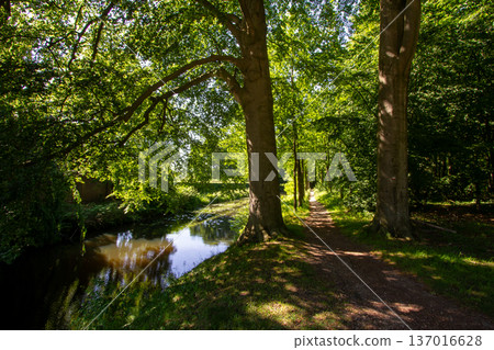 Footpath through the park of Doetinchem 137016628