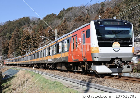 JR East E233 series 0 (Itsukaichi Line 100th anniversary wrapping train) 137016793