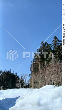 白雪皚皚的冬天 白雪皚皚的冬天 137017194