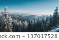 Snow-Covered Winter Mountain Landscape with Pine Trees 137017528