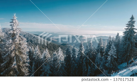 Snow-Covered Winter Mountain Landscape with Pine Trees Snow-Covered Winter Mountain Landscape with Pine Trees 137017528