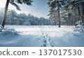 Snowy Forest Scene with Footprints, Winter Landscape Image 137017530
