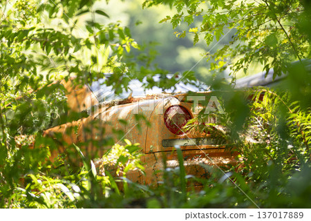 Abandoned vehicle buried in grass Abandoned vehicle buried in grass 137017889