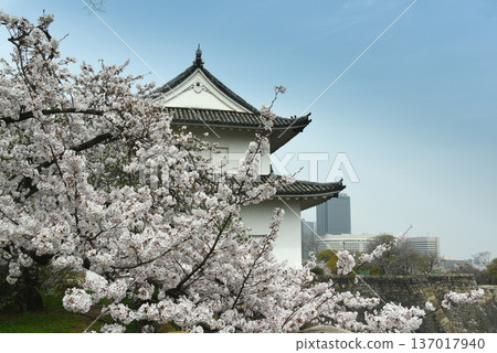 Cherry blossoms and Osaka Castle's First Tower 137017940
