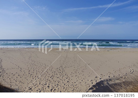 沙灘上有很多腳印 沙灘上有很多腳印 137018195