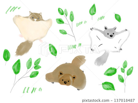 手繪插圖，描繪了一隻森林中的飛鼠 137018487