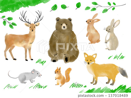 可愛的森林動物插畫集 137018489