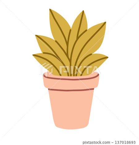 Flat vector houseplant in terracotta pink pot. Minimal indoor plant illustration isolated on light background, perfect for home decor, gardening, botanical and eco design projects 137018693