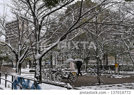 新宿公園雪景 新宿公園雪景 137018772