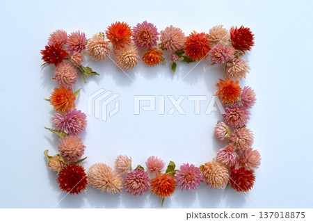 用乾燥波斯菊製成的相框 137018875