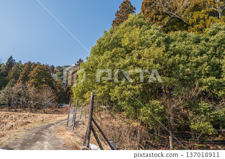 Satoyama scenery of Lake Biwa in the back of the mountains, Nagahara, Nagahama City, Shiga Prefecture Satoyama scenery of Lake Biwa in the back of the mountains, Nagahara, Nagahama City, Shiga Prefecture 137018911