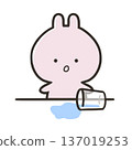 Rabbit spilling water 137019253