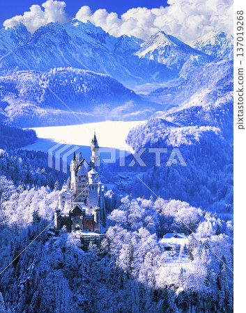 隆冬時節新天鵝堡的壯麗景色 137019268