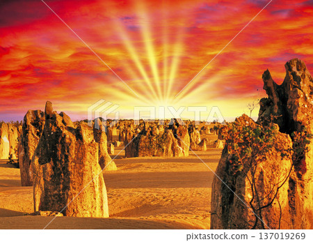 Spectacular views of the Pinnacles in Western Australia 137019269