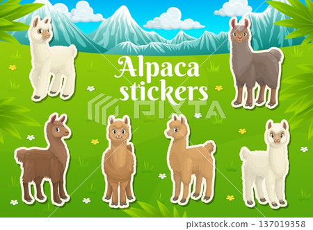 Cartoon llama and alpaca character stickers of funny lama animals, vector pack. Kids' stickers of cute baby llamas or alpacas with cheerful muzzle faces on green meadow lawn in snowy mountains Cartoon llama and alpaca character stickers of funny lama animals, vector pack. Kids' stickers of cute baby llamas or alpacas with cheerful muzzle faces on green meadow lawn in snowy mountains 137019358