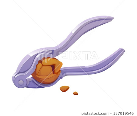 Nutcracker tool squeezing a walnut inside its metal jaws with small broken shell pieces below. Vector kitchen utensil with glossy surface and curved handles showing the cracking and cooking process 137019546