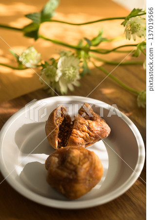 畫無花果 137019566