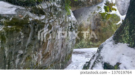 Rocks and rock formations on the Labyrinth Trail in Bledne Skaly in the Stolowe Mountains National Park. High quality photo 137019764