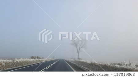 Foggy road on a frosty winter morning. Driving in conditions of limited visibility. High quality photo 137019868