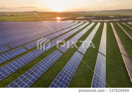 Blue solar photo voltaic panels system producing renewable clean energy on rural landscape and setting sun background. Blue solar photo voltaic panels system producing renewable clean energy on rural landscape and setting sun background. 137020409