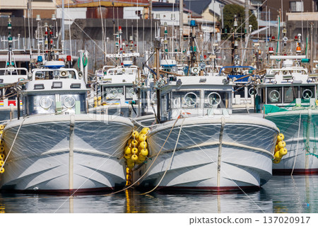 A group of white fishing boats moored close together at Yui Fishing Port in Shizuoka Prefecture 137020917