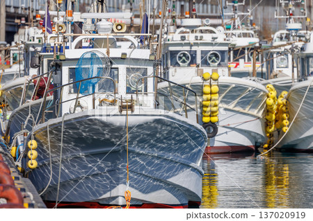 A group of white fishing boats moored close together at Yui Fishing Port in Shizuoka Prefecture 137020919