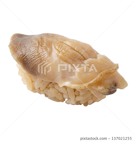 Sushi geoduck clam up nigiri seafood delicacy on rice closeup 137021255
