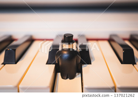 一位紳士坐在鋼琴鍵上 137021262