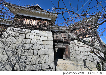 伊予國松山城：國寶、現存天守閣和角樓 137022180