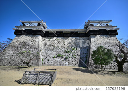 伊予國松山城:國寶、現存天守閣和角樓 伊予國松山城:國寶、現存天守閣和角樓 137022196