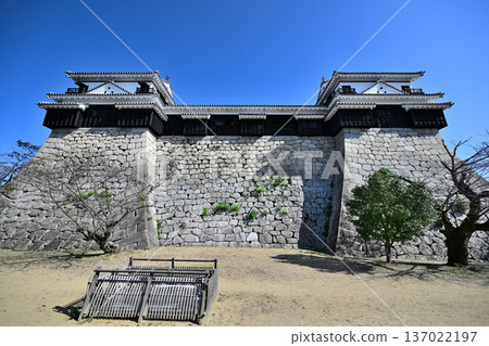 伊予國松山城:國寶、現存天守閣和角樓 伊予國松山城:國寶、現存天守閣和角樓 137022197