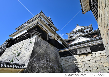 伊予國松山城:國寶、現存天守閣和角樓 伊予國松山城:國寶、現存天守閣和角樓 137022209