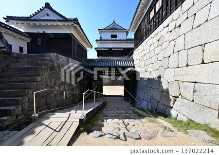 伊予國松山城:國寶、現存天守閣和角樓 伊予國松山城:國寶、現存天守閣和角樓 137022214