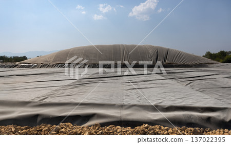 HDPE Geo Membrane Anaerobic Lagoon Biogas Plant for Animal Waste. 137022395