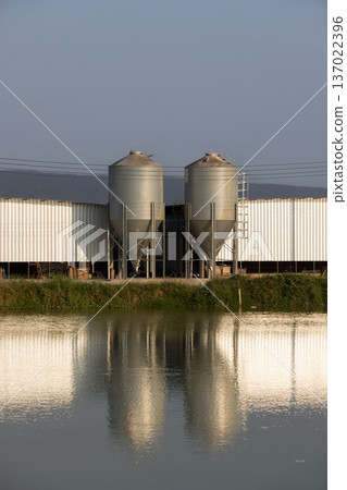 Poultry Farming Grain Silo Feed Tower for Chicken Automatic Feeding System 137022396
