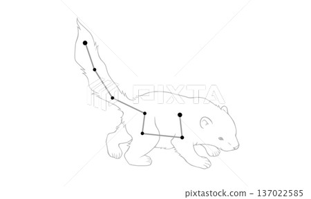 Monochrome line drawing of Ursa Minor (picture of a little bear and constellation lines) 137022585