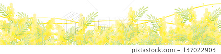 Decorative illustration of loose mimosas Decorative illustration of loose mimosas 137022903