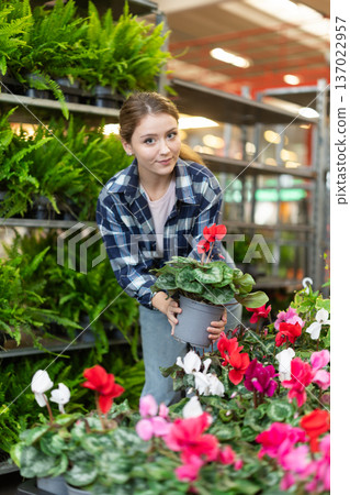 Girl works as auxiliary worker in plant store warehouse, review cyclamen Girl works as auxiliary worker in plant store warehouse, review cyclamen 137022957