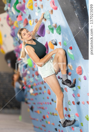 Woman climbs artificial wall bouldering, working out in gym Woman climbs artificial wall bouldering, working out in gym 137023099