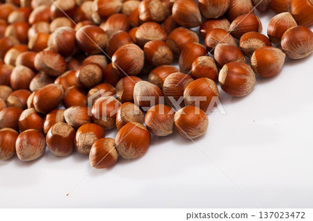 Raw filberts on white background 137023472