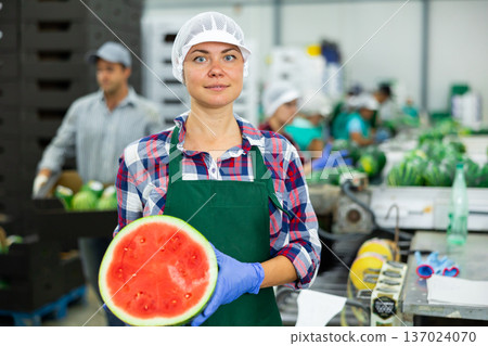 Positive woman farmer holding ripe watermelon near sorting conveyor, proud of good quality of product 137024070