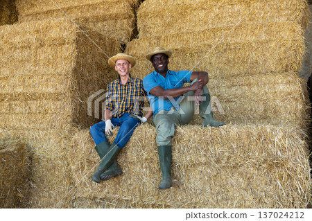 Two smiling farm employees having rest in hayloft Two smiling farm employees having rest in hayloft 137024212