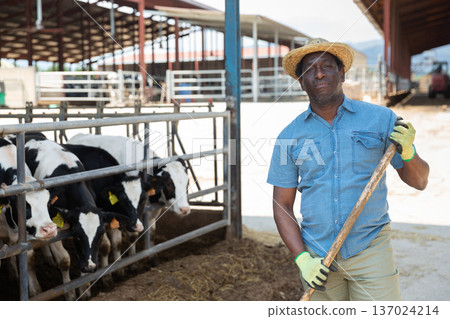 Man farmer posing at cowshed on farm Man farmer posing at cowshed on farm 137024214