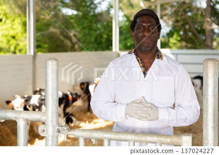 African american veterinarian standing near stall with calves 137024227